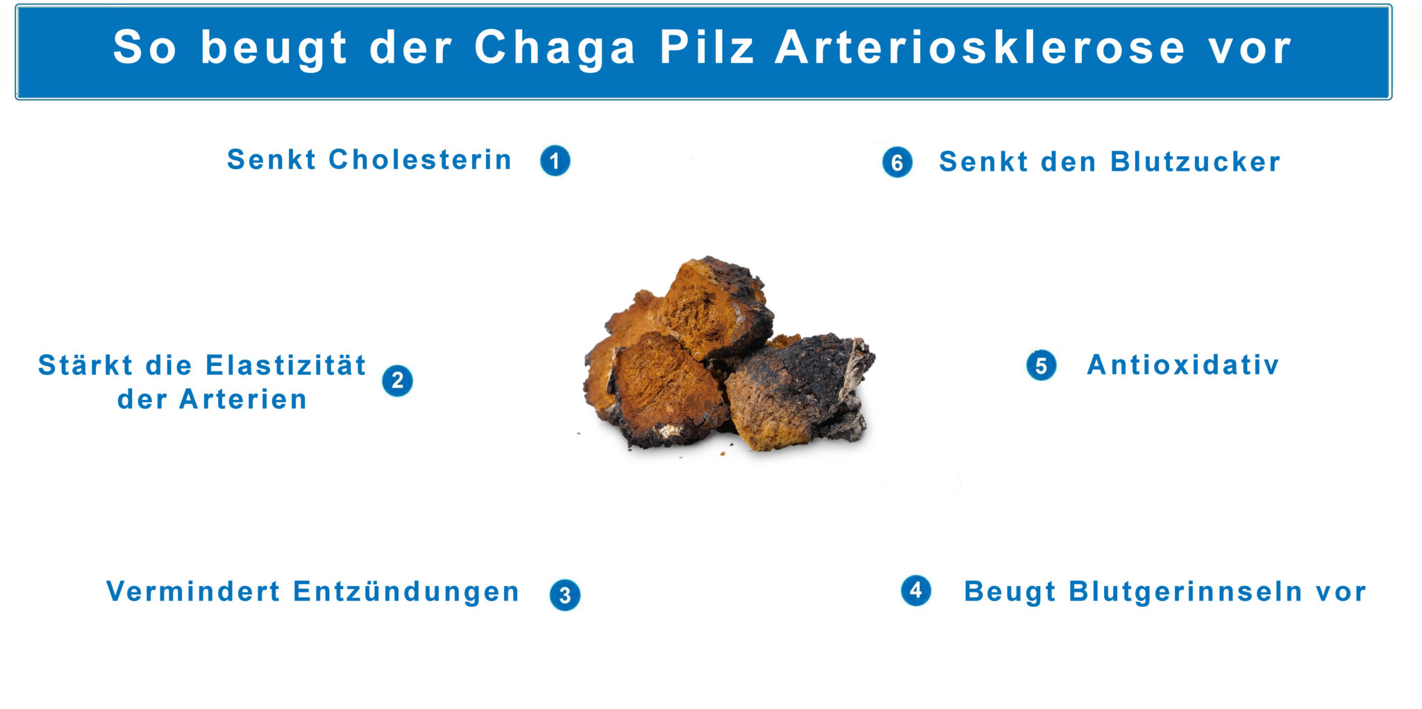 Graphik Arteriosklerose behandeln mit Chaga