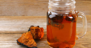 Chaga Pilz Brocken und Chaga Tee