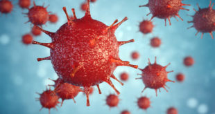 Epstein-Barr-Virus illustration