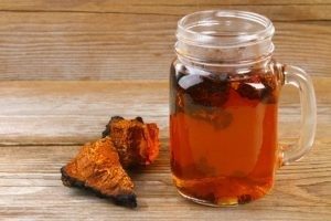 Chaga Pilz abnehmen