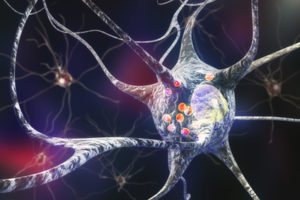 Parkinson natürlich heilen