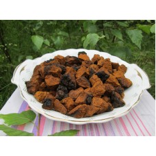 Chaga Pilz abnehmen